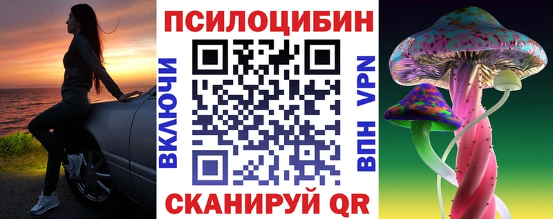 Галлюциногенные грибы Psilocybe Отрадное
