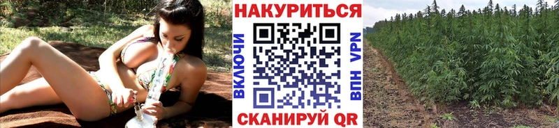 купить наркотики цена  darknet телеграм  Марихуана VHQ  Отрадное 